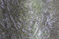 Brigham fibreglass roof work